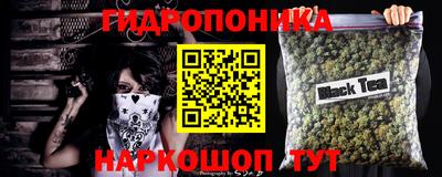 ECSTASY Ярославль