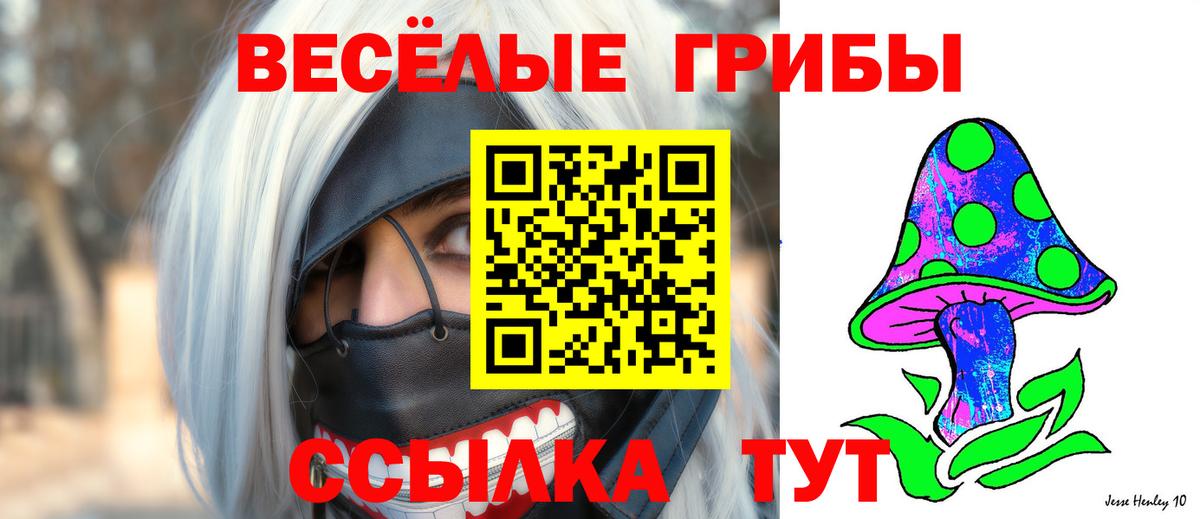 купить закладку  Вход с VPN  Псилоцибиновые грибы Magic Shrooms  Менделеевск  Галлюциногенные грибы мухоморы 